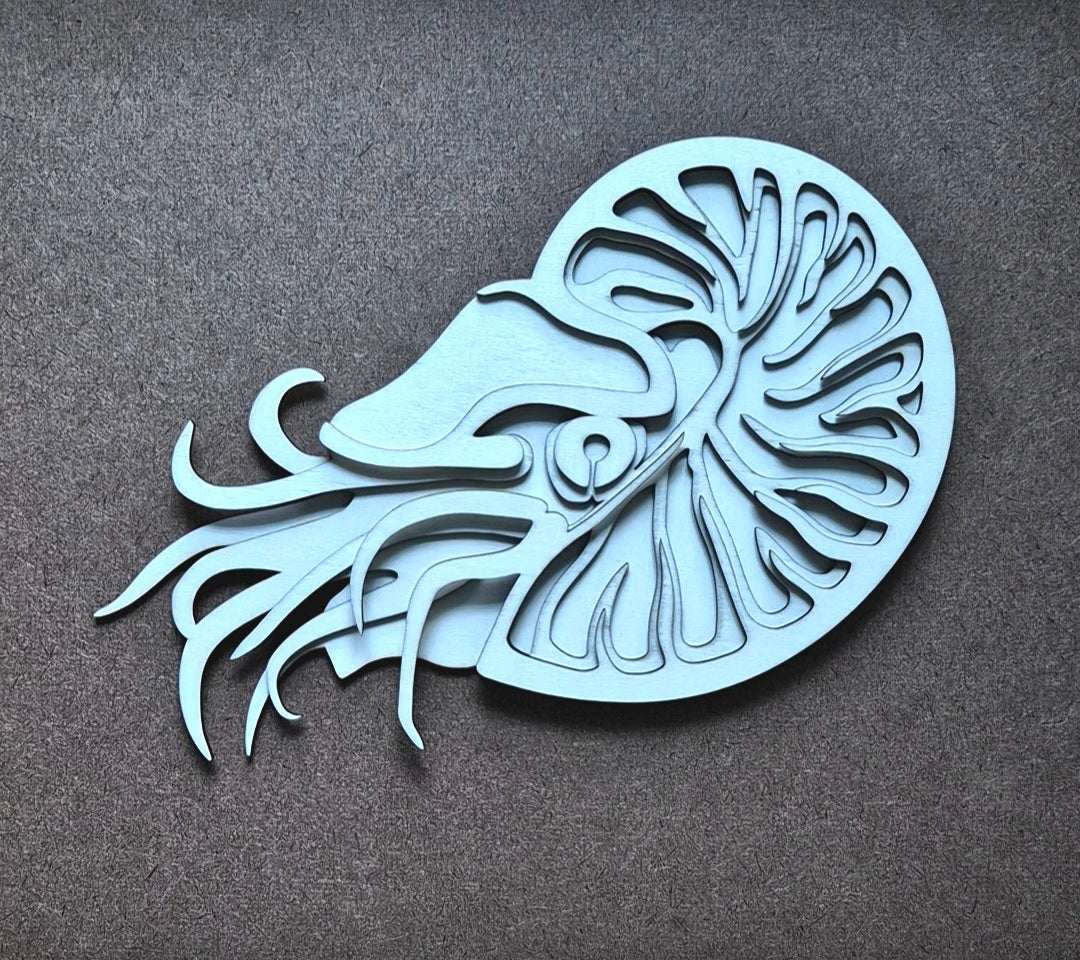 Nautilus wood cutout, DIY wooden kit