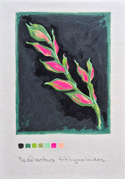 Original Pedilanthus tithymaloides botanical painting in acrylic markers, featuring vivid tropical foliage and color swatches.