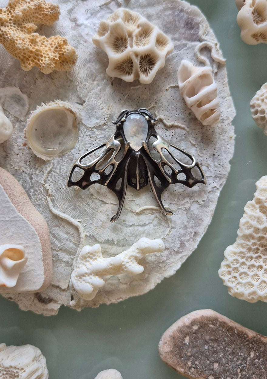 Handmade silver moth necklace with openwork wings and moonstone, styled on shell background with coral fragments.