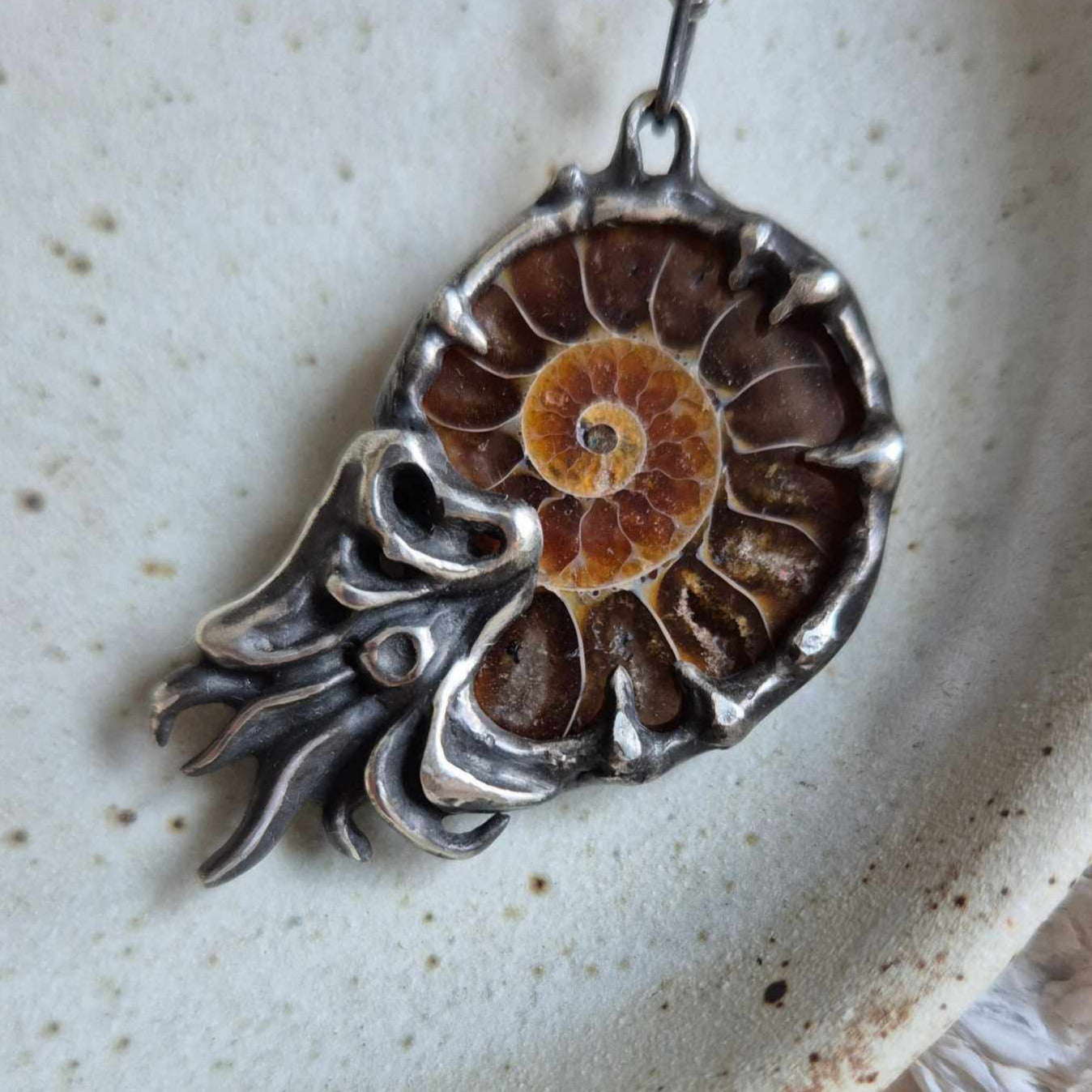 Silver Nautilus necklace featuring an ancient spiral fossil, displayed on a pale dish with seashells in the background.