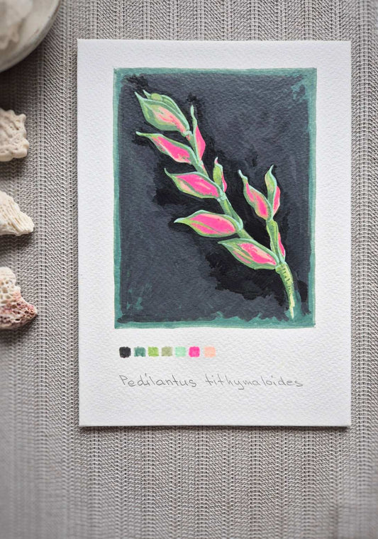 Acrylic marker illustration artwork of Pedilanthus plant — vibrant leaf pattern on dark background, painted on watercolor paper.