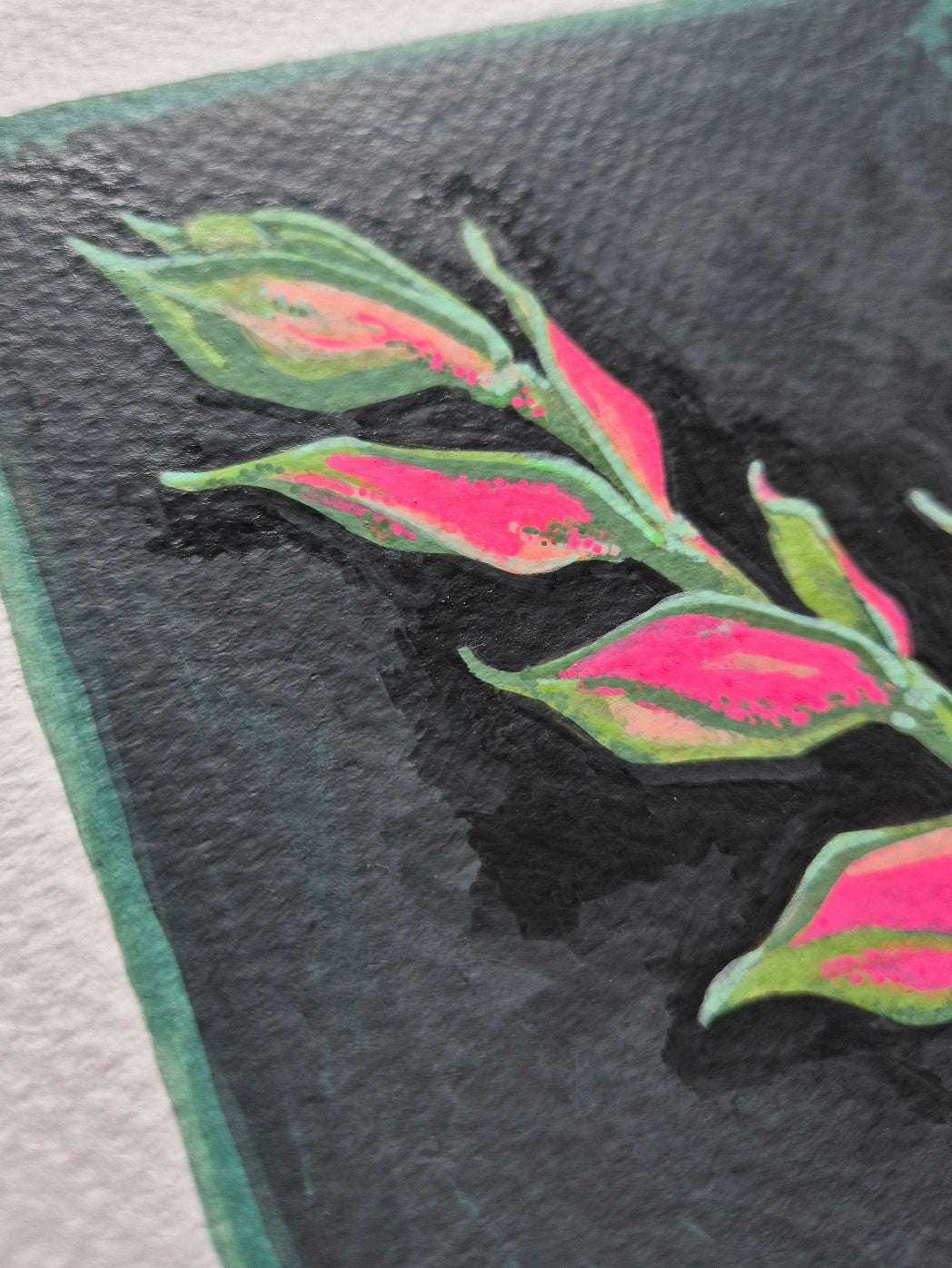 Hand-drawn Pedilanthus detail — botanical art with vivid pink and green leaves on dark background.