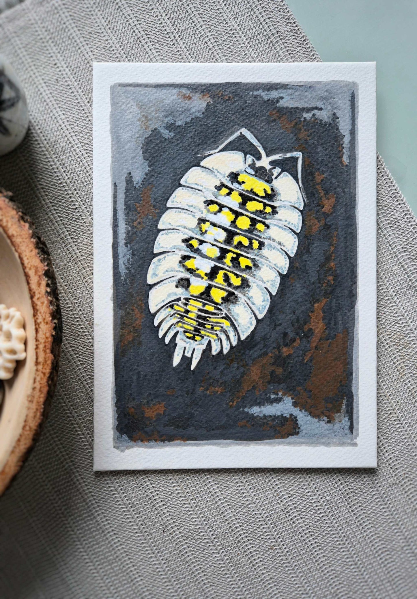 Isopod Illustration - Animal illustration in acrylics - Porchellio tortonesei isopod original drawing
