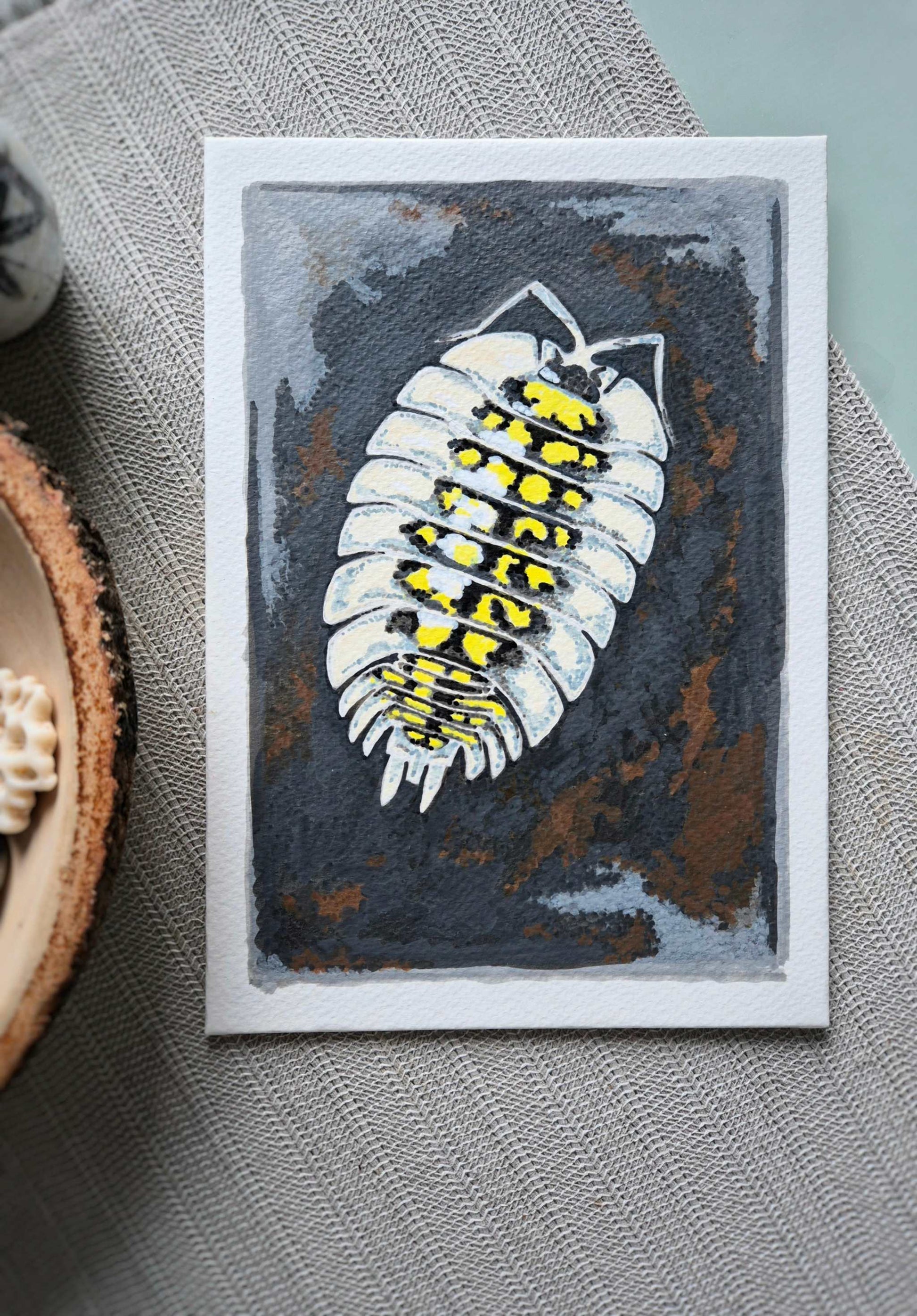 Isopod Illustration - Animal illustration in acrylics - Porchellio tortonesei isopod original drawing