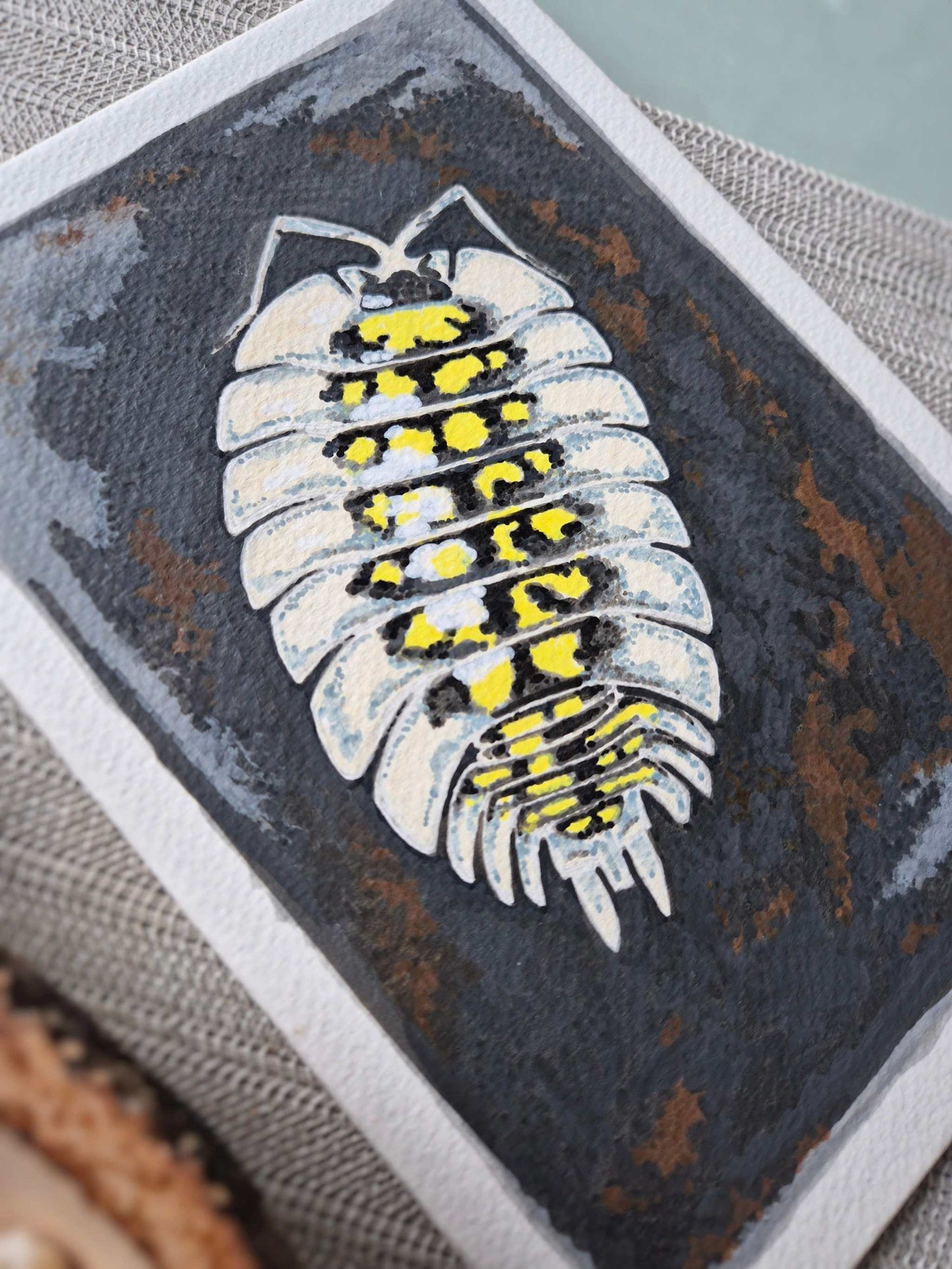 A side view of an Isopod illustration in acrylics - Porchellio tortonesei isopod original drawing showing the paint and paper texture