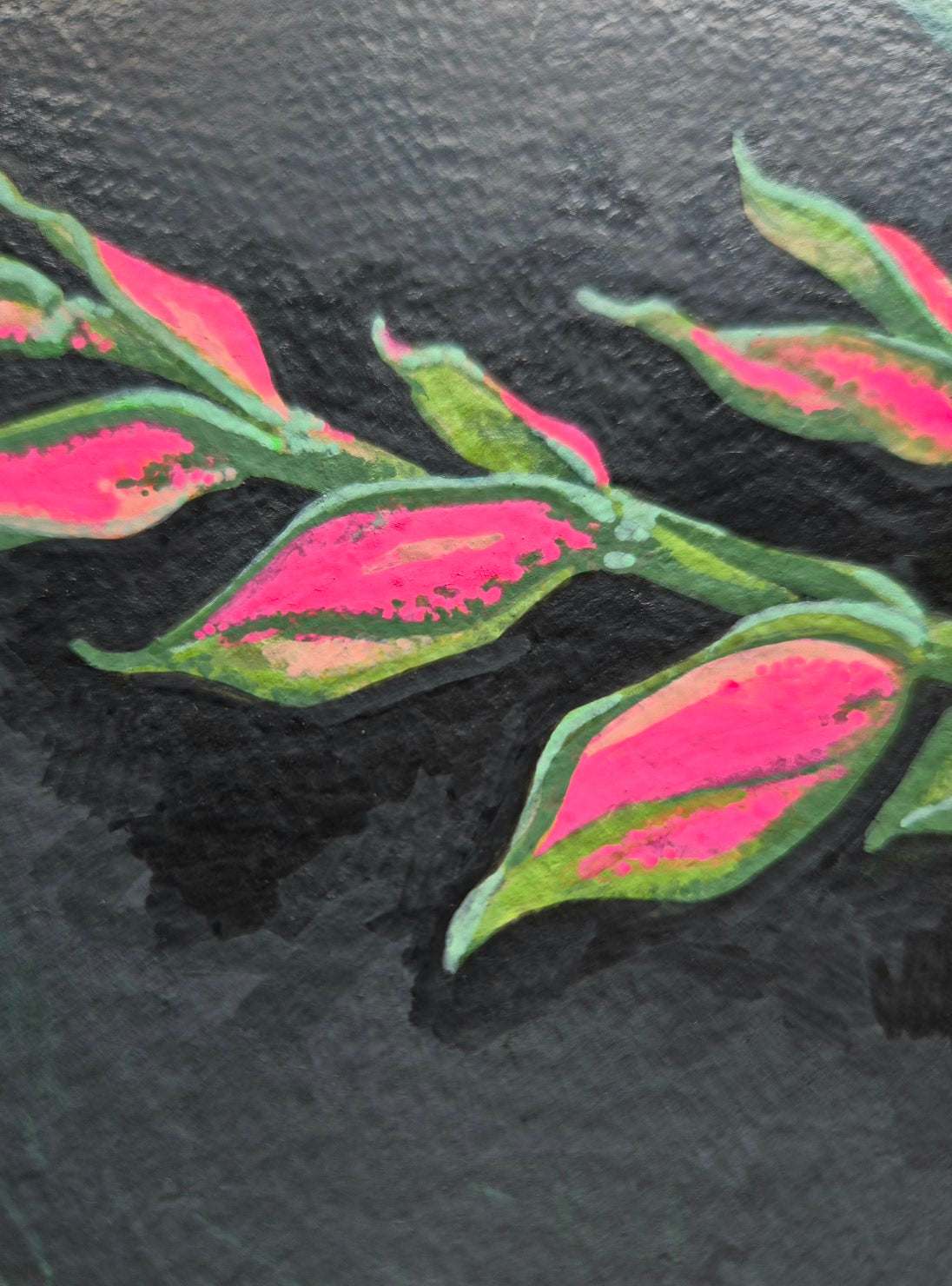 Close-up of painted Pedilanthus leaves — bold pink and green tones in detailed botanical illustration.