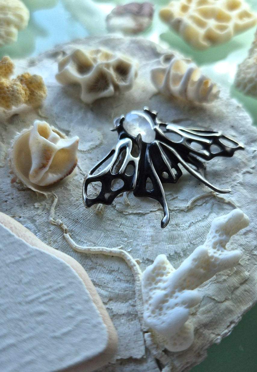 Close-up of silver moth pendant with moonstone, displayed on shell-like surface among natural coral and seashell pieces.