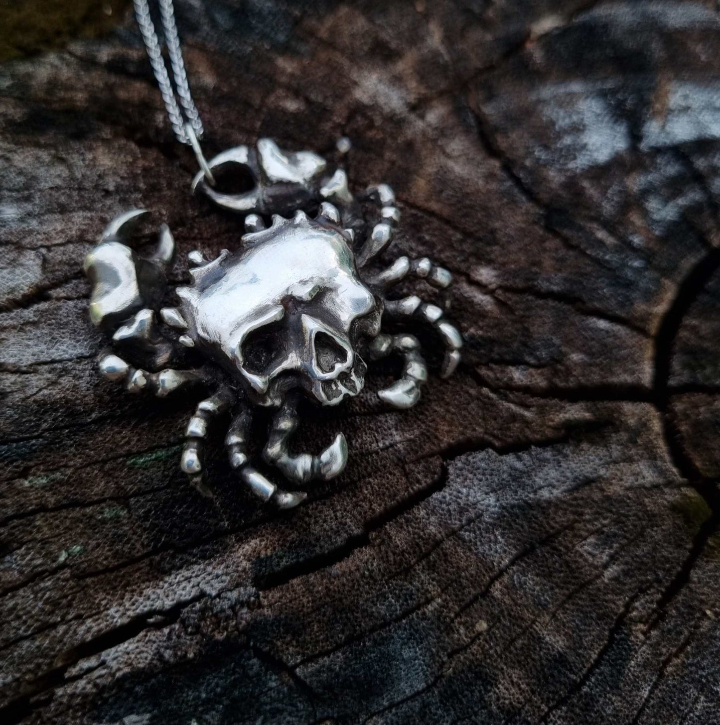 Close-up of a Silver Skull necklace resting on dark tree bark, showing the fusion of crab form and human skull