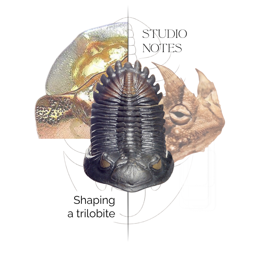 Who doesn't like a trilobite?