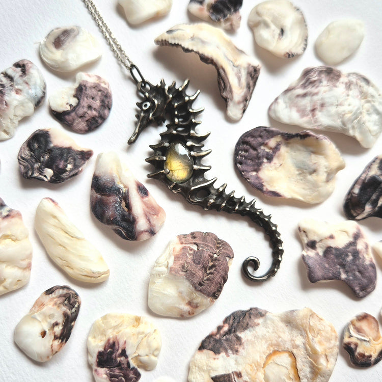 Seahorse amulets