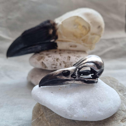 Close-up of silver skull necklace resting on pale rock, with a real raven skull as a background