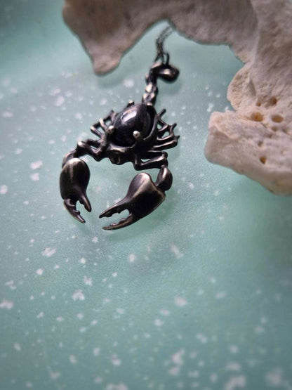 close-up of a silver Scorpion necklace with black gemstone on dark turquoise background
