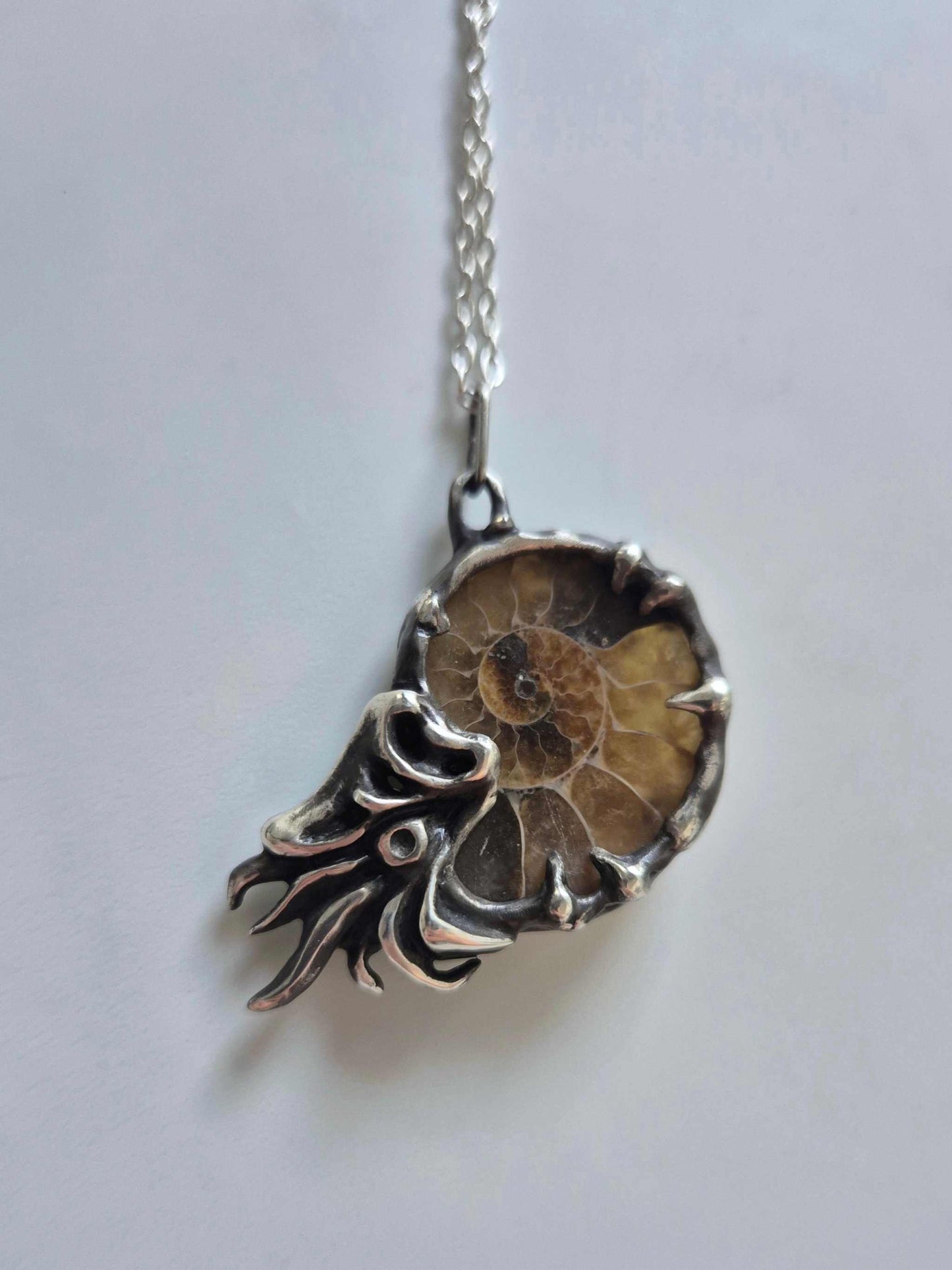 Nautilus necklace in sterling silver - Ammonite fossil